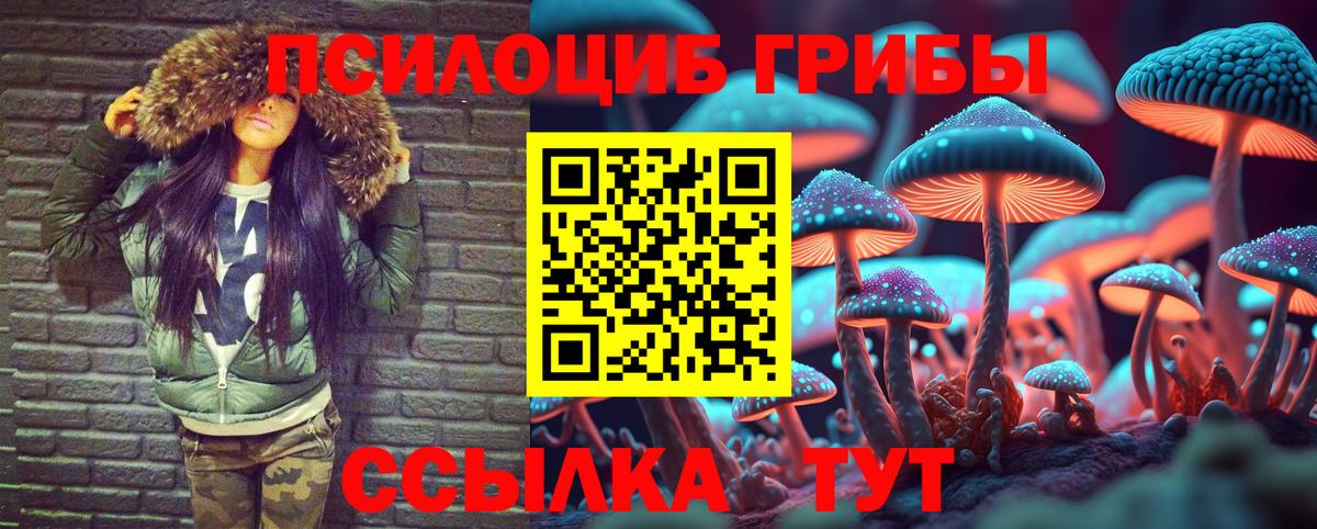 Псилоцибиновые грибы прущие грибы Сыктывкар