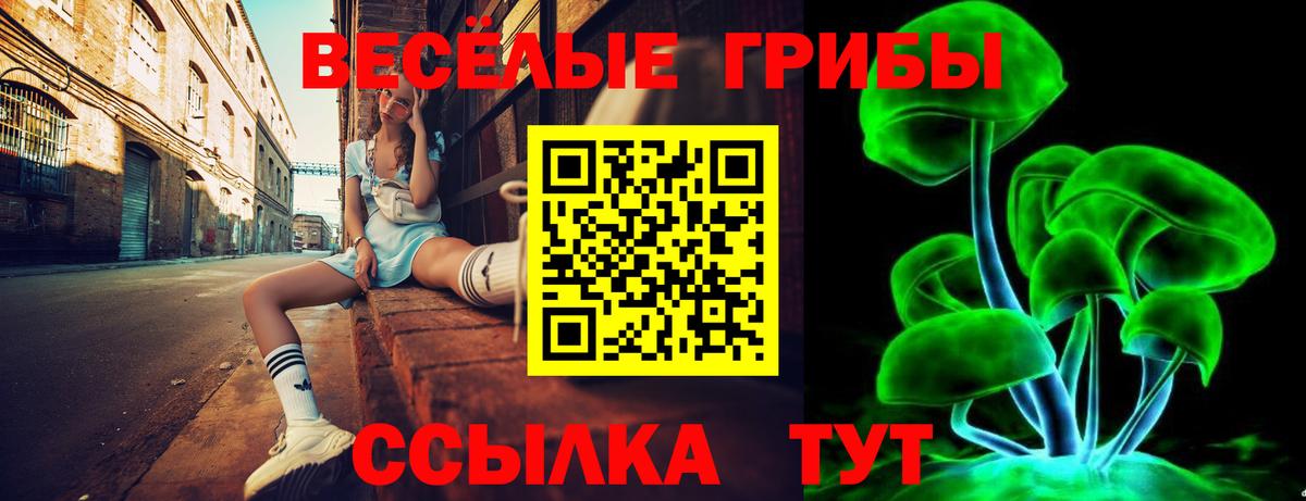 Псилоцибиновые грибы GOLDEN TEACHER  Псилоцибиновые грибы Cubensis  Сыктывкар  Вход с VPN 